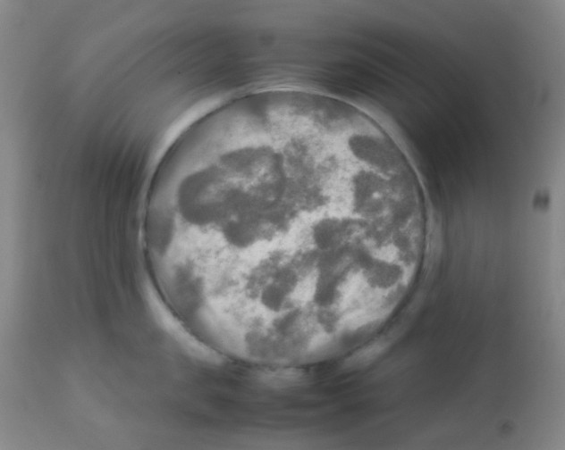 X0000113070957200910091205