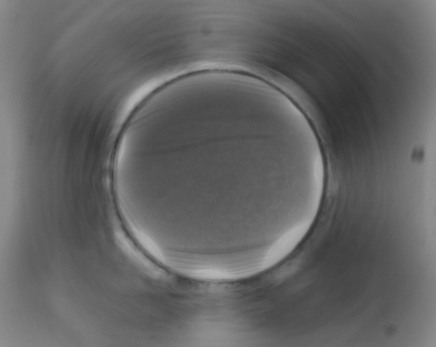 X0000113070958200910091205