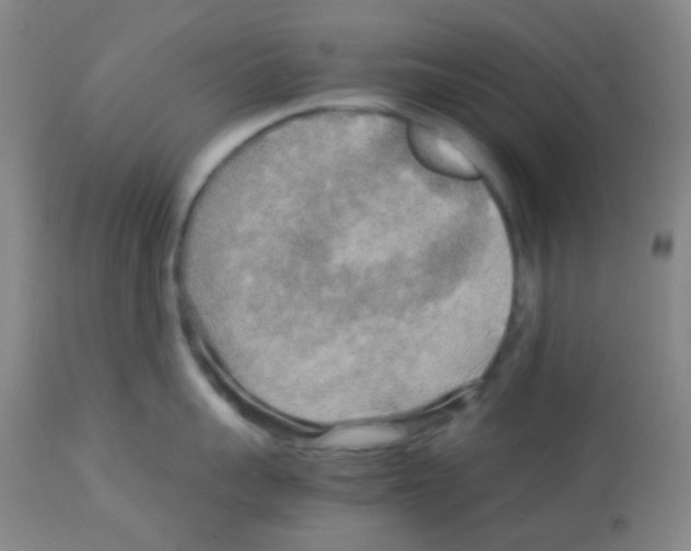 X0000113070959200910091205