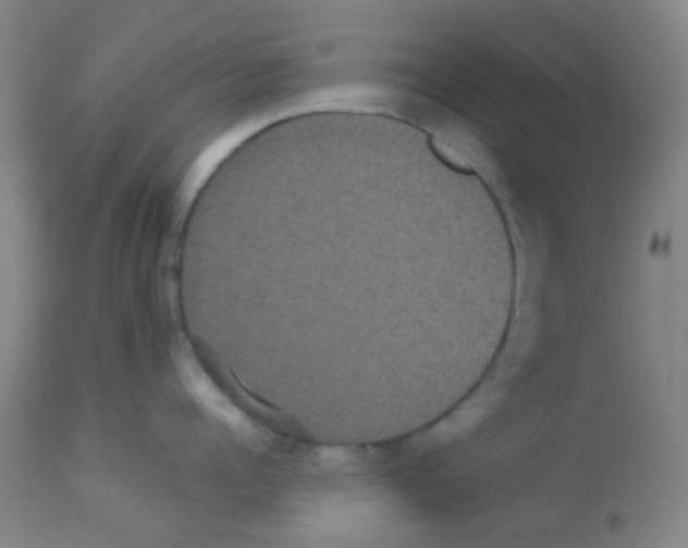 X0000113070960200910091205