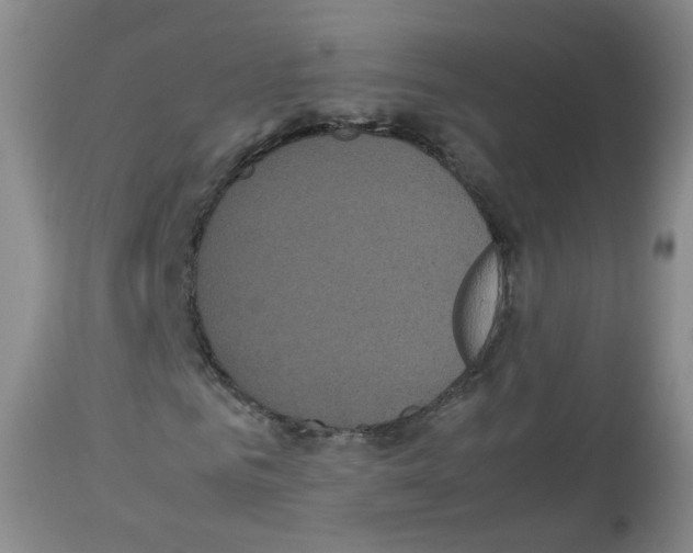 X0000113070961200910091204
