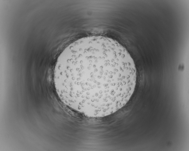 X0000113070962200910091204