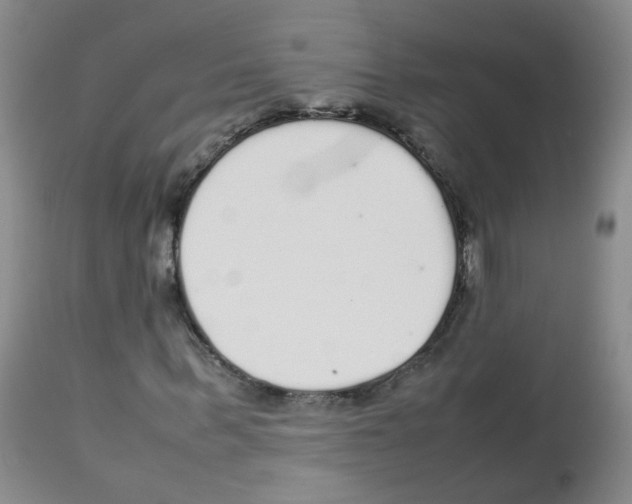 X0000113070963200910091204