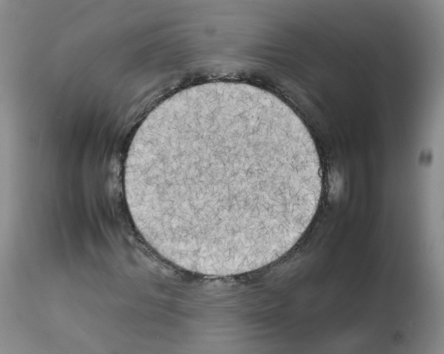 X0000113070964200910091204
