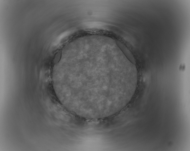X0000113070965200910091204