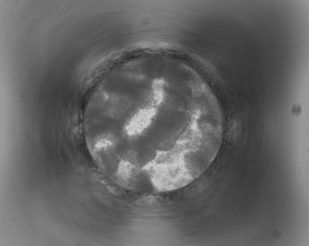 X0000113070966200910091204