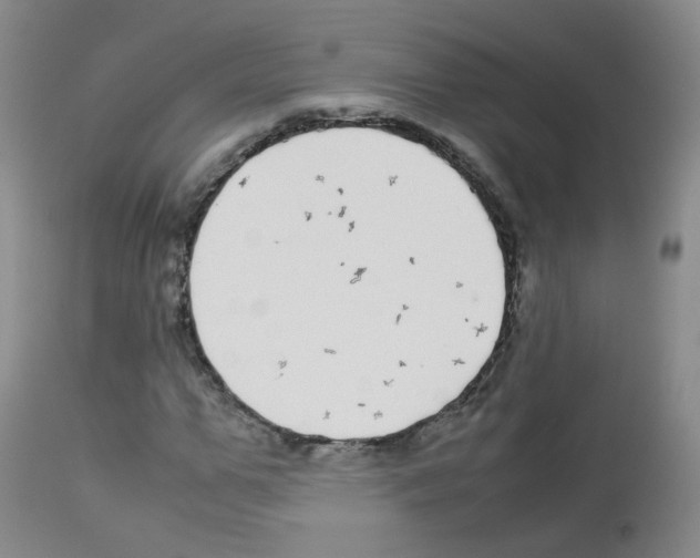 X0000113070967200910091204