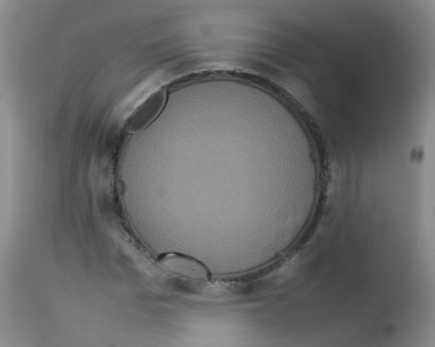 X0000113070969200910091204