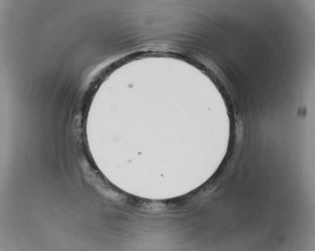 X0000113070971200910091204