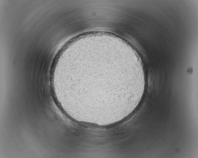 X0000113070972200910091204