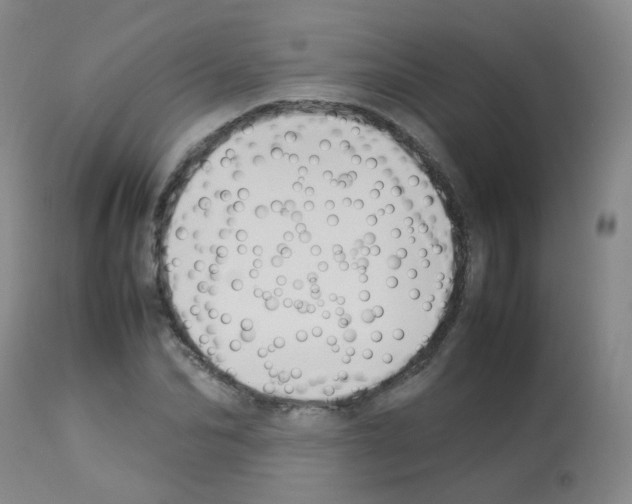 X0000113070974200910091204