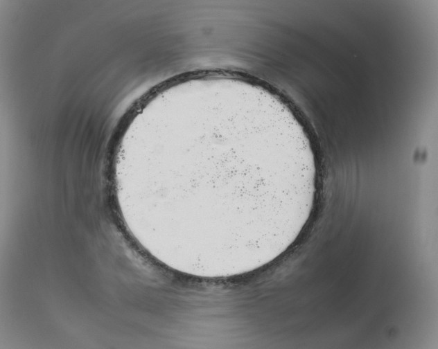 X0000113070975200910091204