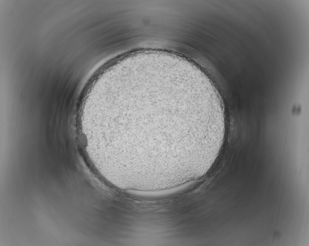 X0000113070976200910091204