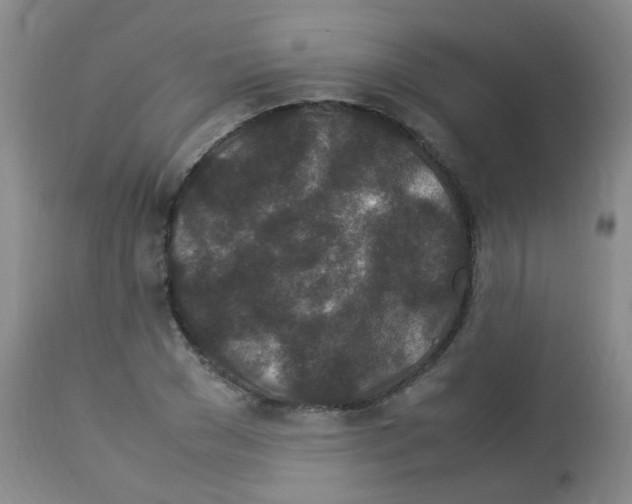 X0000113070977200910091204