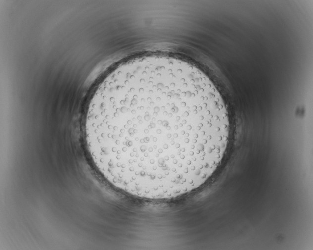X0000113070978200910091204