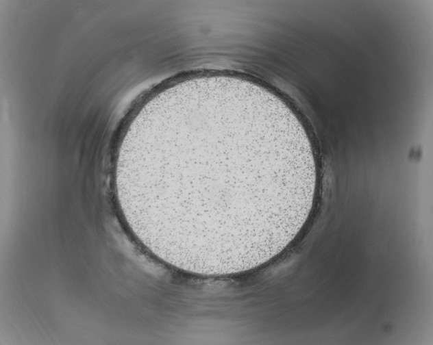 X0000113070979200910091204