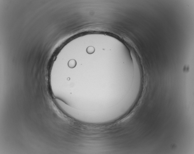 X0000113070981200910091204