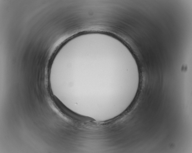 X0000113070982200910091204