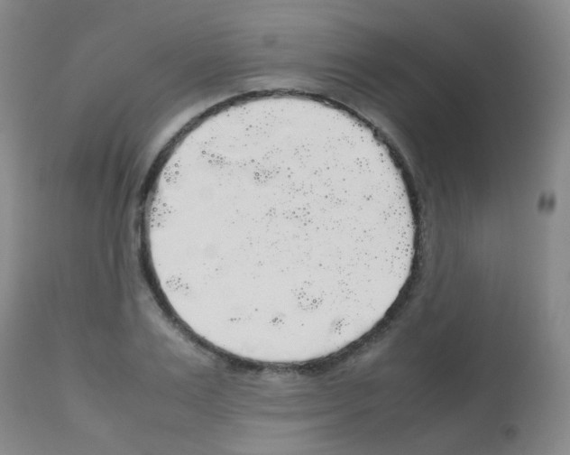 X0000113070983200910091204