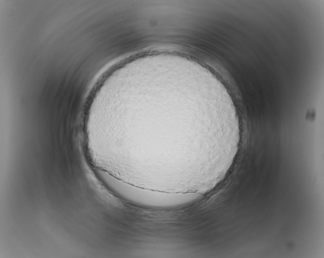 X0000113070984200910091204