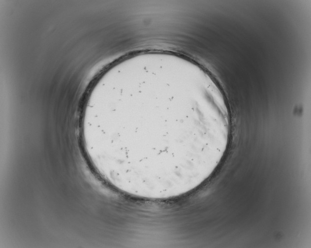 X0000113070987200910091204