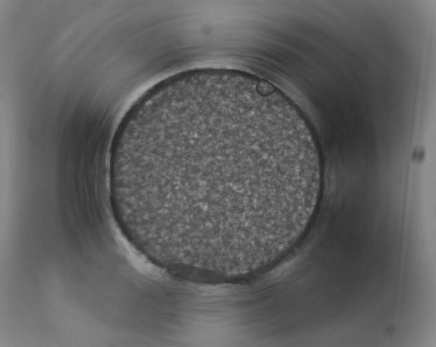 X0000113070988200910091204
