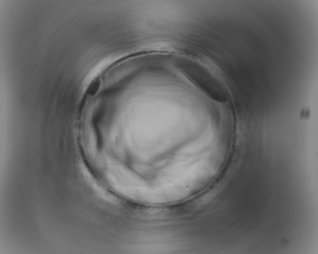X0000113070989200910091204