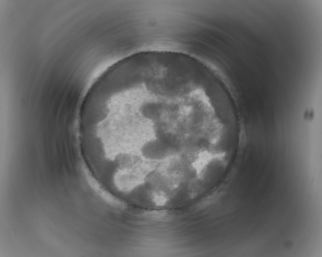 X0000113070990200910091204