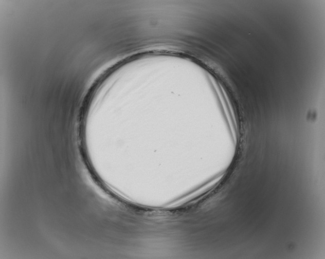 X0000113070991200910091204