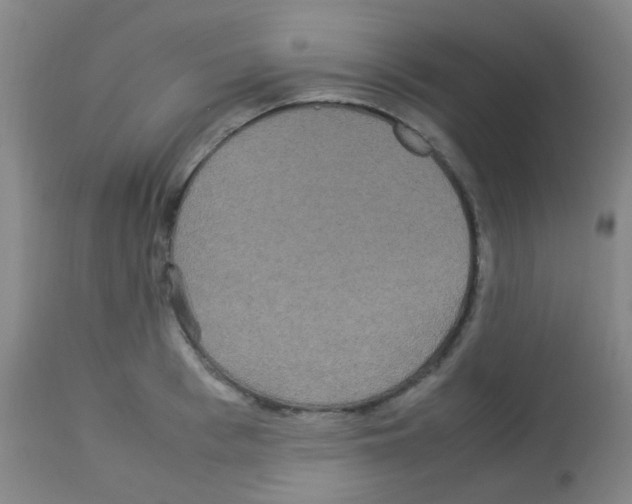 X0000113070993200910091204