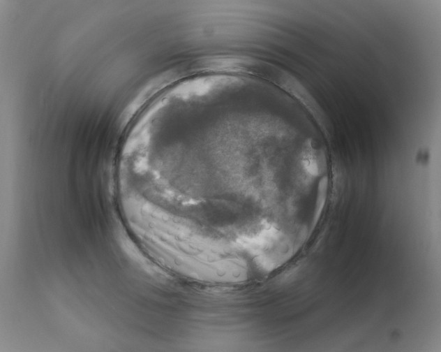 X0000113070994200910091204