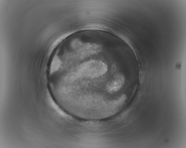 X0000113070995200910091204