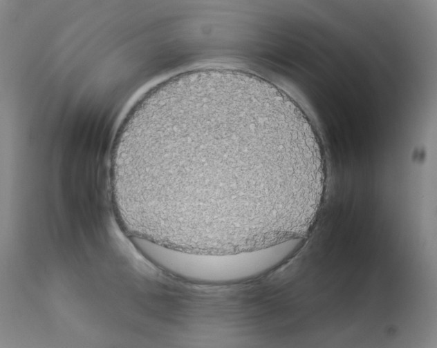 X0000113070996200910091204
