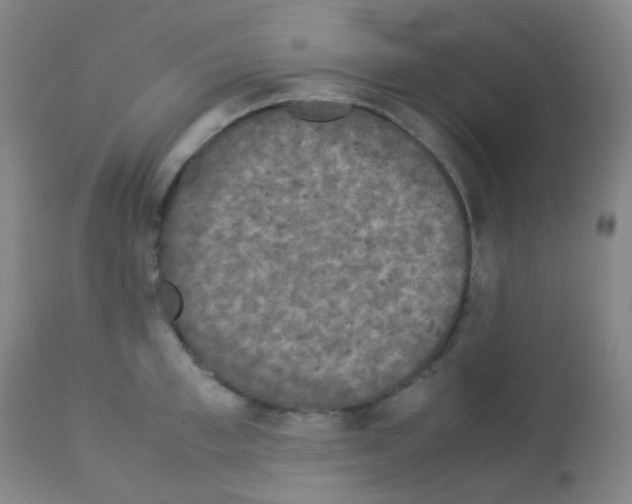 X0000113070997200910091204