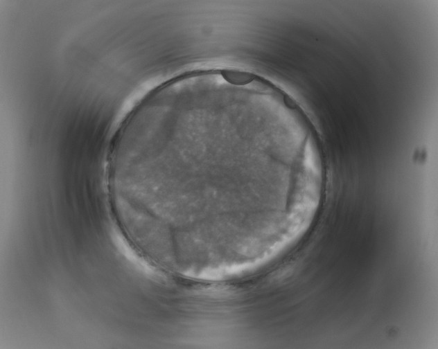 X0000113070998200910091204