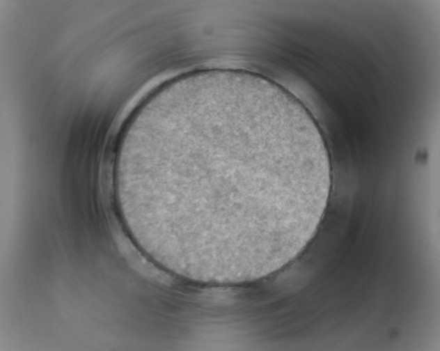 X0000113071000200910091204