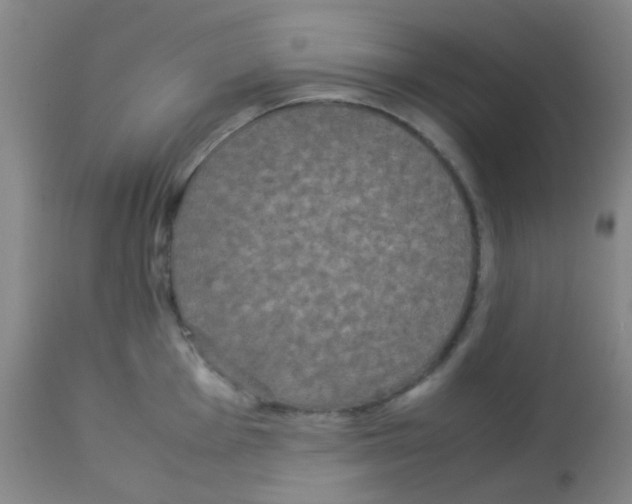 X0000113071001200910091204