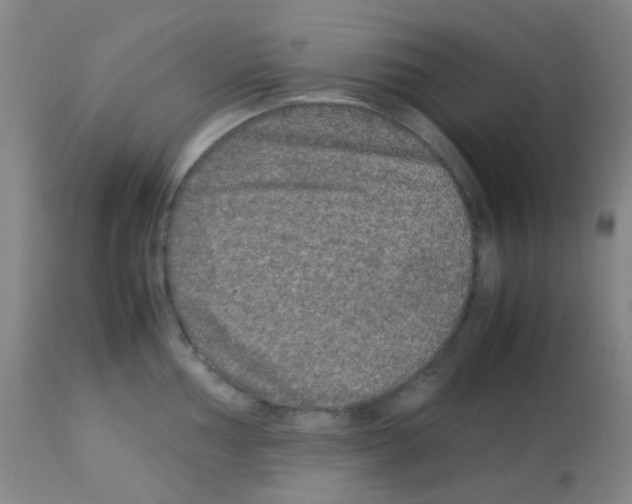 X0000113071002200910091204