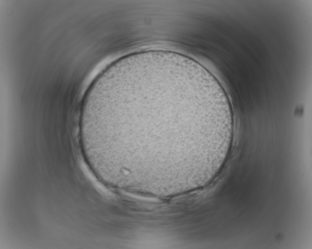 X0000113071005200910091203