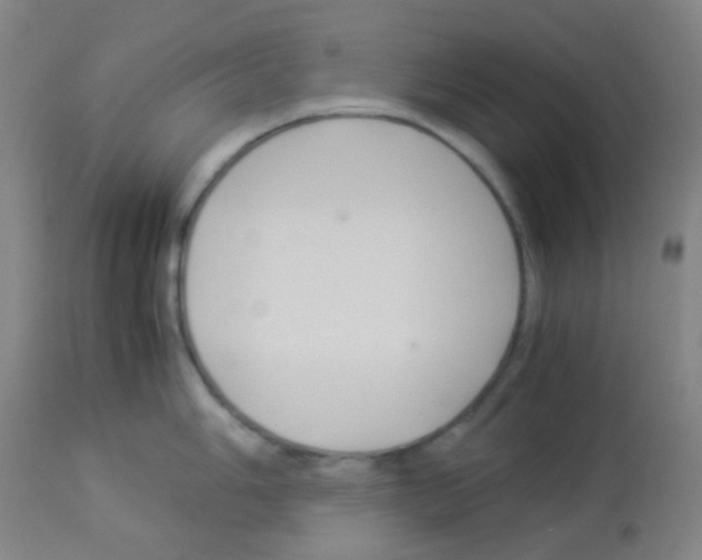 X0000113071006200910091203