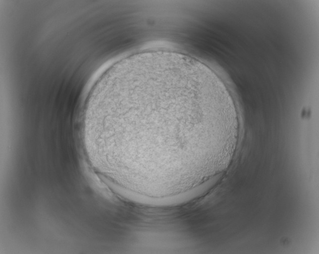 X0000113071008200910091203