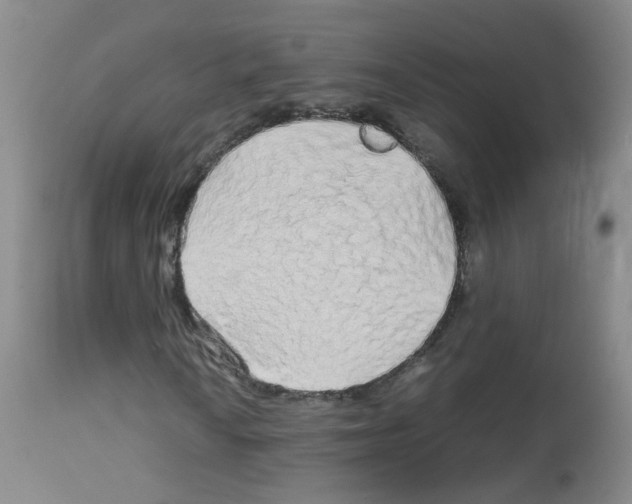 X0000113071010200910091202