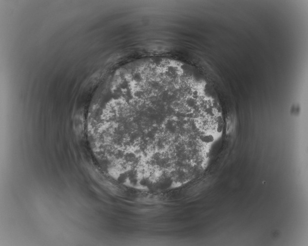 X0000113071011200910091202