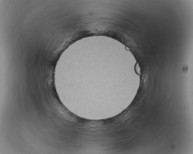 X0000113071012200910091202