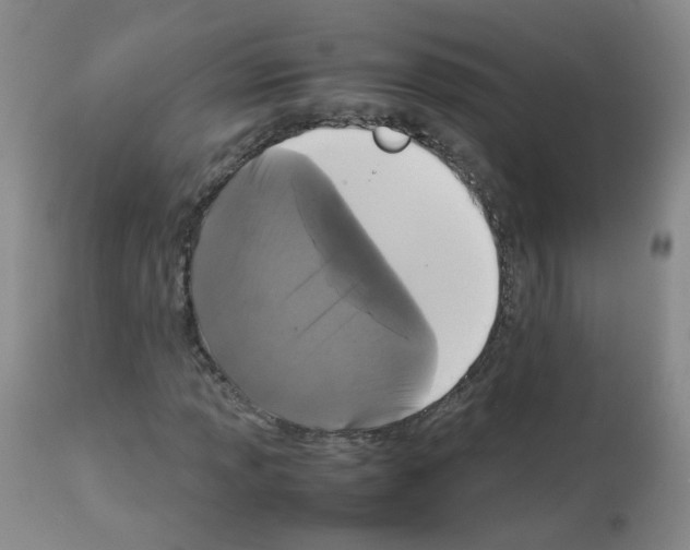 X0000113071013200910091202