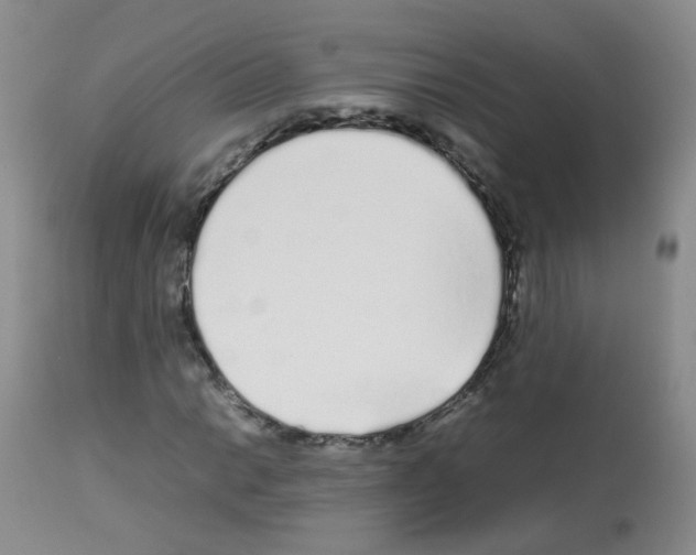 X0000113071014200910091202