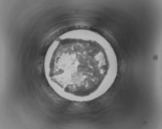 X0000113071015200910091202