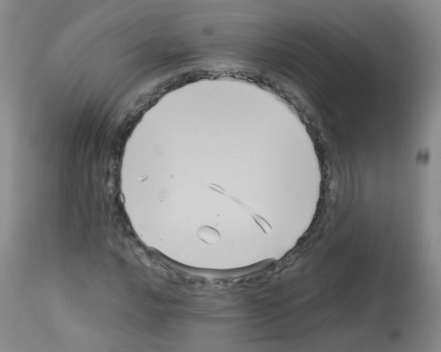 X0000113071016200910091202