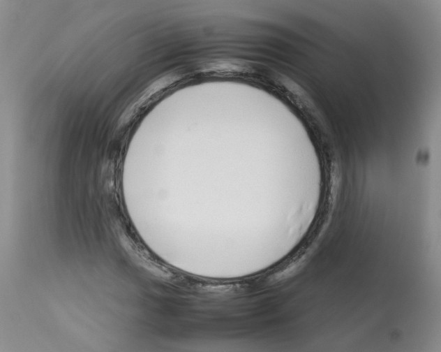 X0000113071017200910091202
