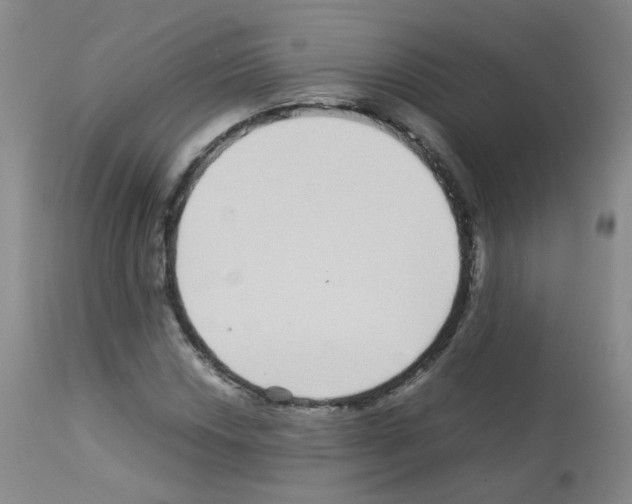 X0000113071018200910091202